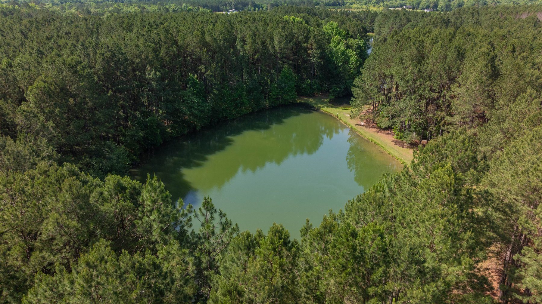 Image for 176+/- Acres - 6,546+/- SF Custom Lodge w/ Stocked Ponds & Food Plots - Mature Timber & Rocky Creek Frontage