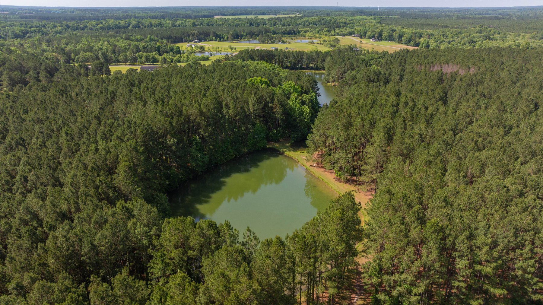 Image for 176+/- Acres - 6,546+/- SF Custom Lodge w/ Stocked Ponds & Food Plots - Mature Timber & Rocky Creek Frontage