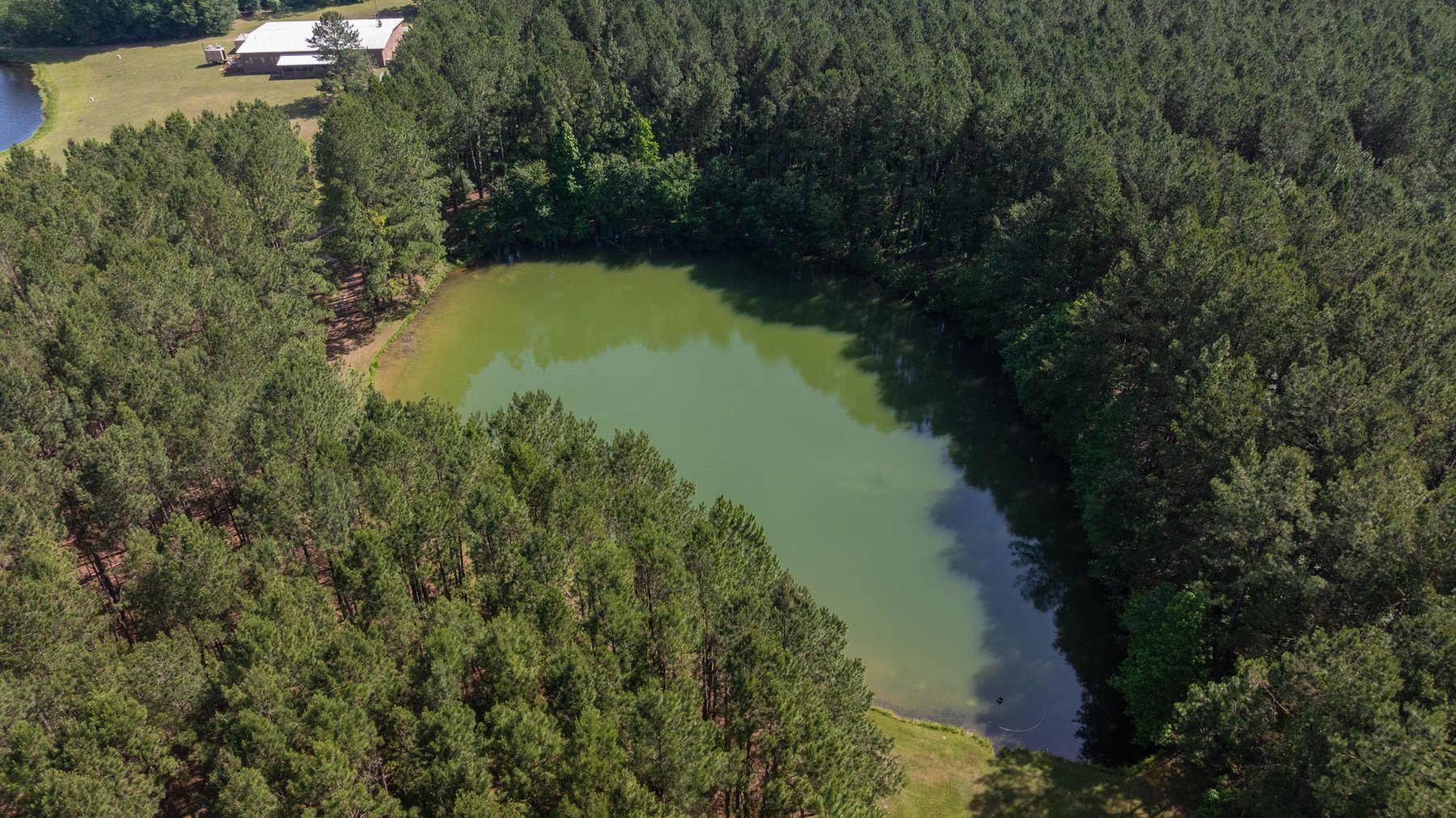 Image for 176+/- Acres - 6,546+/- SF Custom Lodge w/ Stocked Ponds & Food Plots - Mature Timber & Rocky Creek Frontage