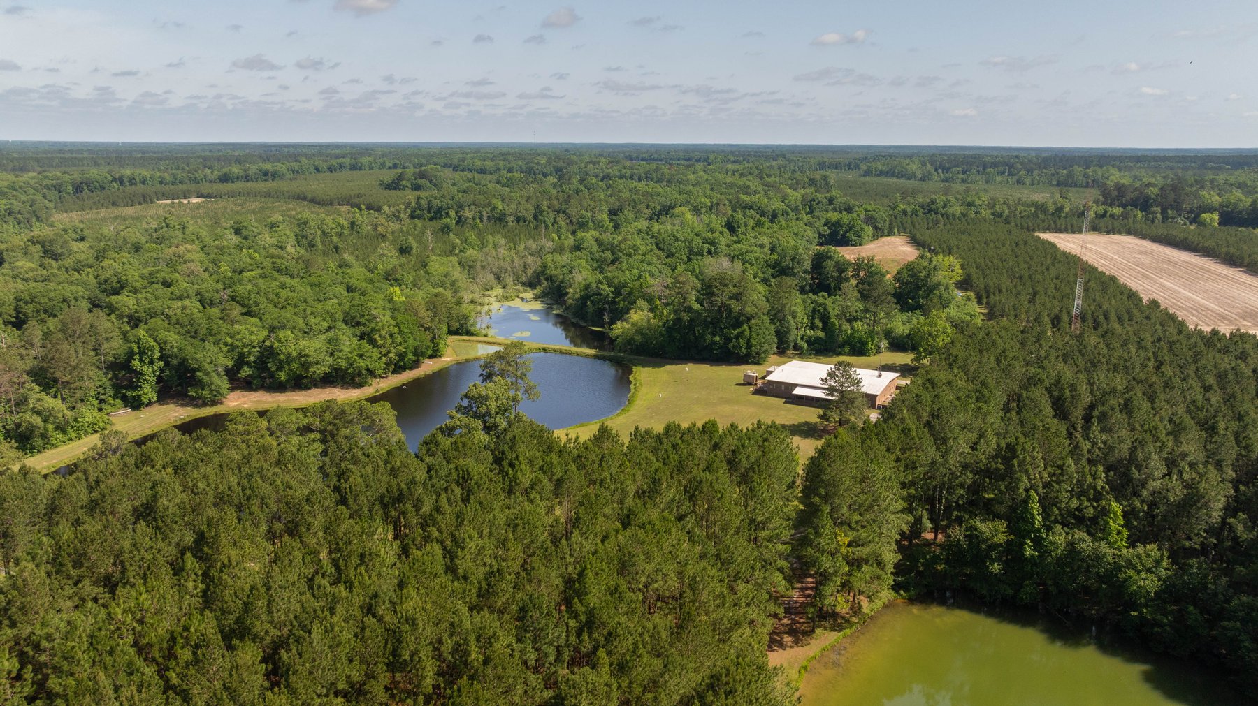 Image for 176+/- Acres - 6,546+/- SF Custom Lodge w/ Stocked Ponds & Food Plots - Mature Timber & Rocky Creek Frontage