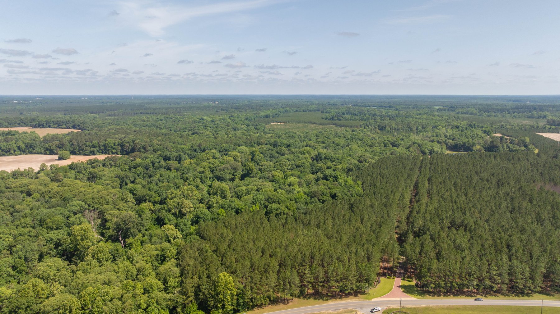 Image for 176+/- Acres - 6,546+/- SF Custom Lodge w/ Stocked Ponds & Food Plots - Mature Timber & Rocky Creek Frontage