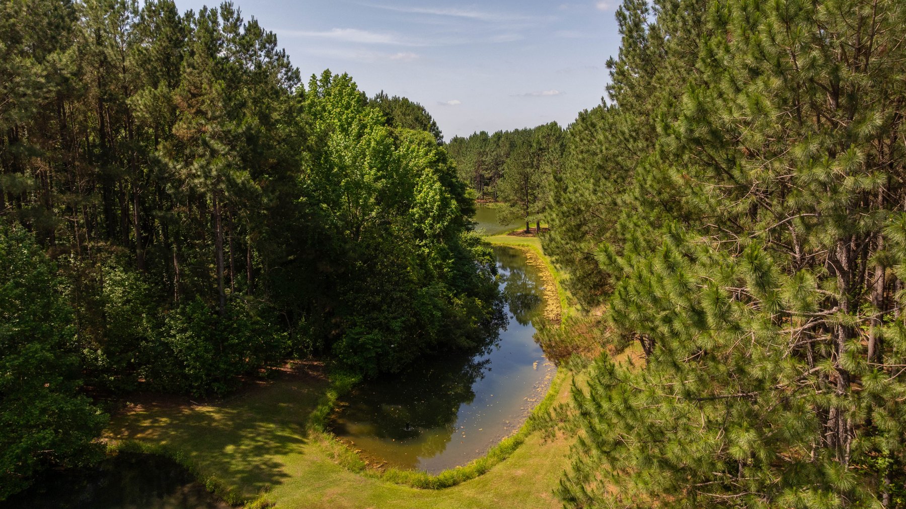 Image for 176+/- Acres - 6,546+/- SF Custom Lodge w/ Stocked Ponds & Food Plots - Mature Timber & Rocky Creek Frontage