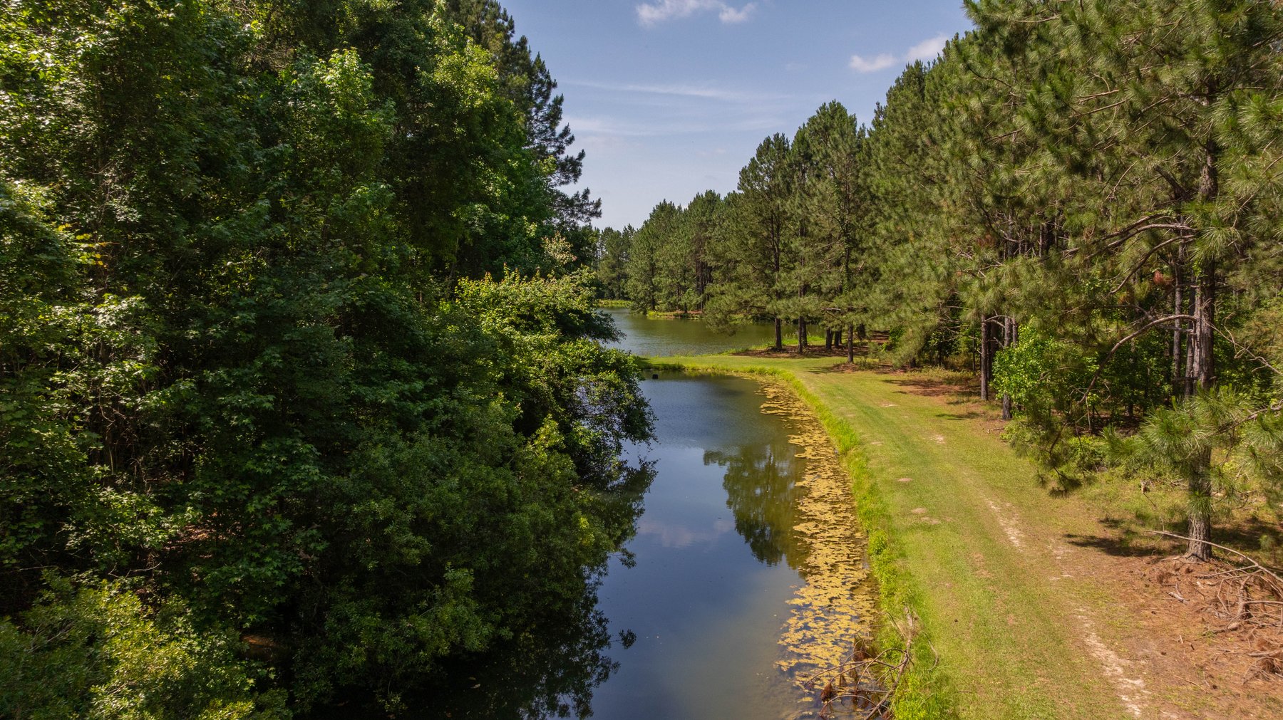 Image for 176+/- Acres - 6,546+/- SF Custom Lodge w/ Stocked Ponds & Food Plots - Mature Timber & Rocky Creek Frontage