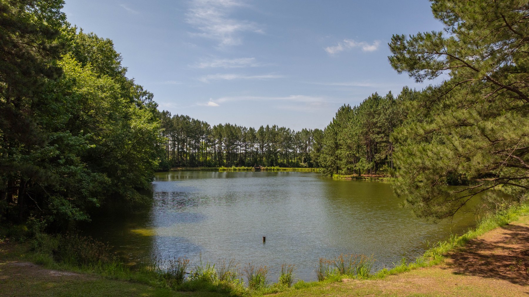 Image for 176+/- Acres - 6,546+/- SF Custom Lodge w/ Stocked Ponds & Food Plots - Mature Timber & Rocky Creek Frontage