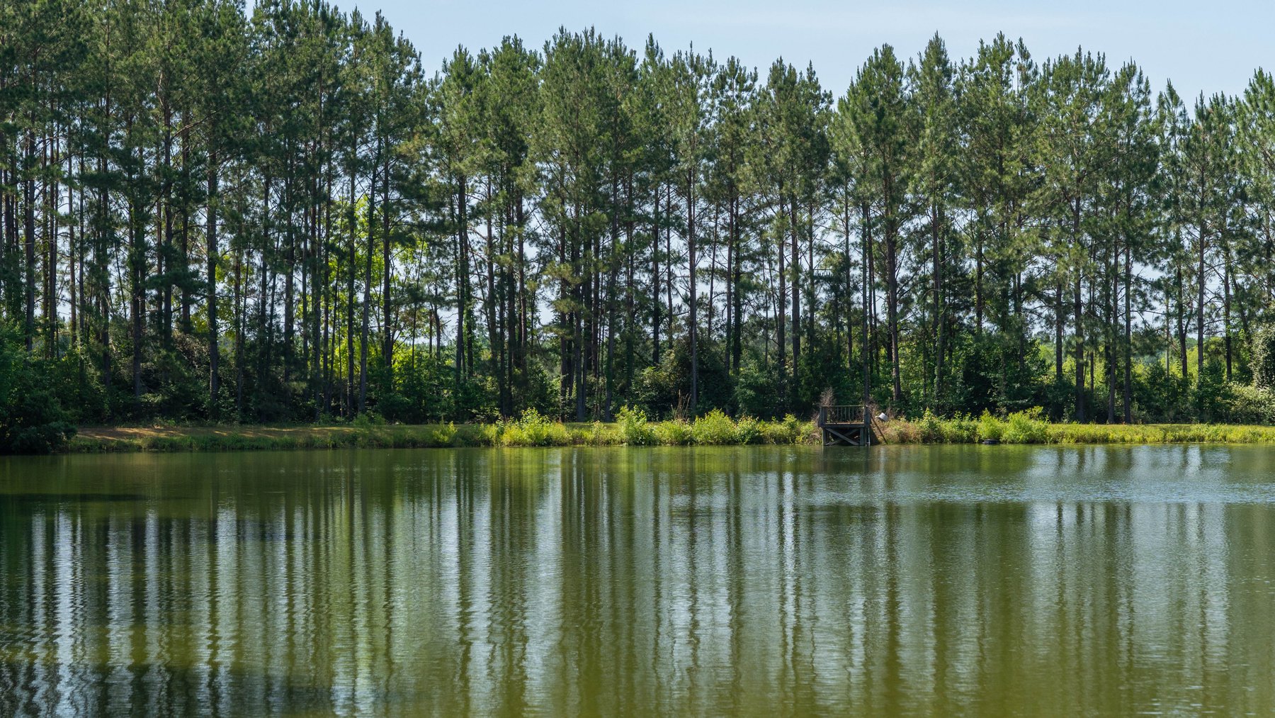 Image for 176+/- Acres - 6,546+/- SF Custom Lodge w/ Stocked Ponds & Food Plots - Mature Timber & Rocky Creek Frontage