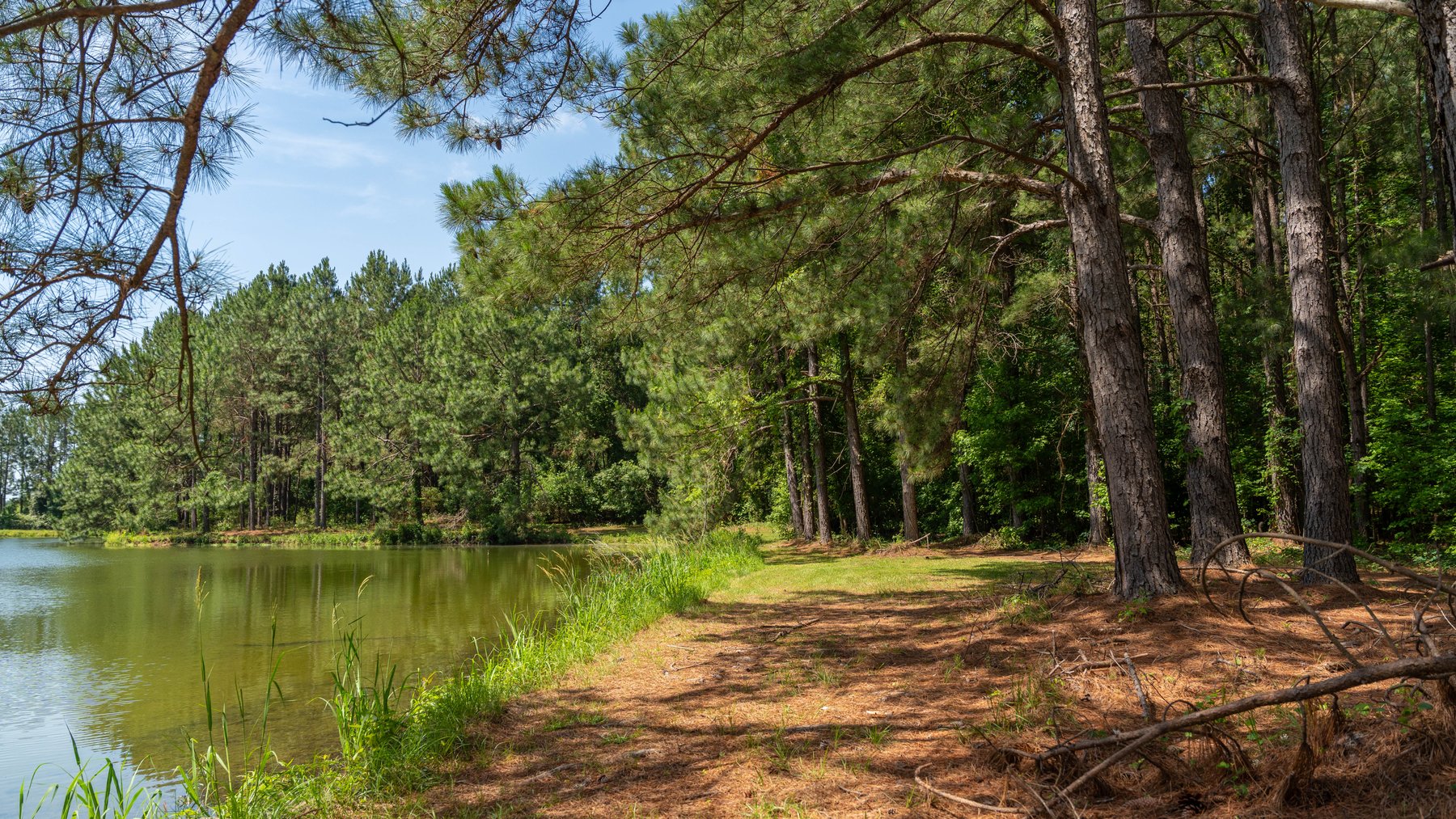 Image for 176+/- Acres - 6,546+/- SF Custom Lodge w/ Stocked Ponds & Food Plots - Mature Timber & Rocky Creek Frontage