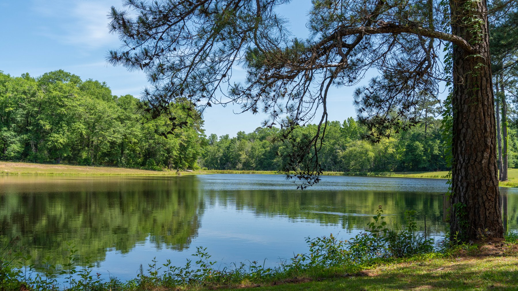 Image for 176+/- Acres - 6,546+/- SF Custom Lodge w/ Stocked Ponds & Food Plots - Mature Timber & Rocky Creek Frontage