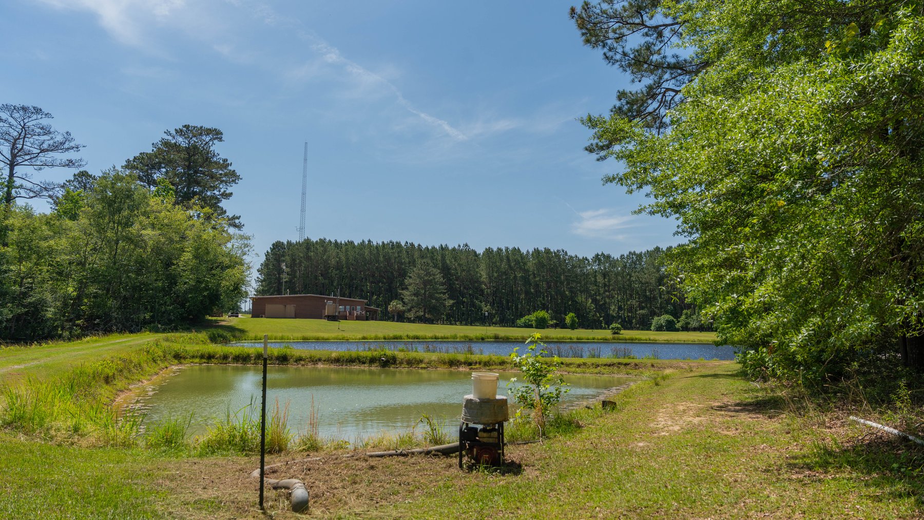 Image for 176+/- Acres - 6,546+/- SF Custom Lodge w/ Stocked Ponds & Food Plots - Mature Timber & Rocky Creek Frontage