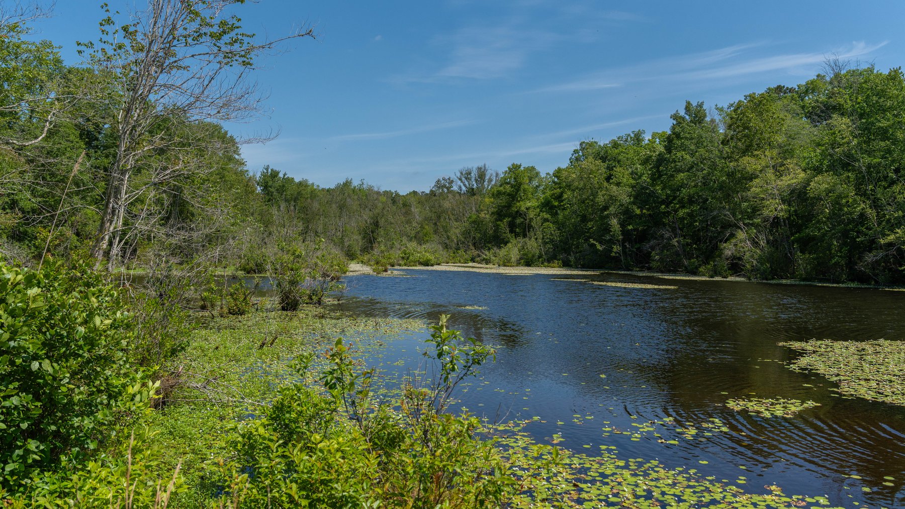 Image for 176+/- Acres - 6,546+/- SF Custom Lodge w/ Stocked Ponds & Food Plots - Mature Timber & Rocky Creek Frontage