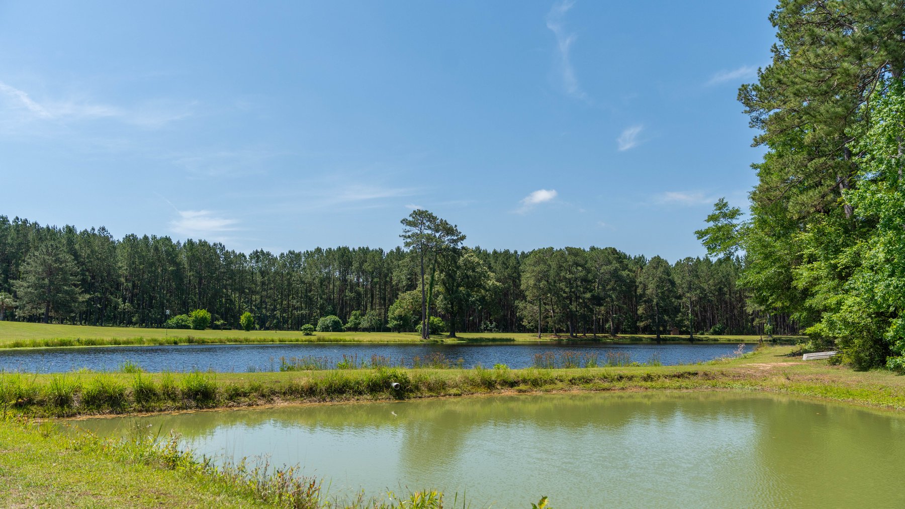 Image for 176+/- Acres - 6,546+/- SF Custom Lodge w/ Stocked Ponds & Food Plots - Mature Timber & Rocky Creek Frontage