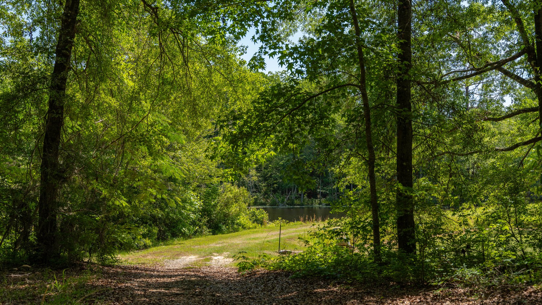 Image for 176+/- Acres - 6,546+/- SF Custom Lodge w/ Stocked Ponds & Food Plots - Mature Timber & Rocky Creek Frontage