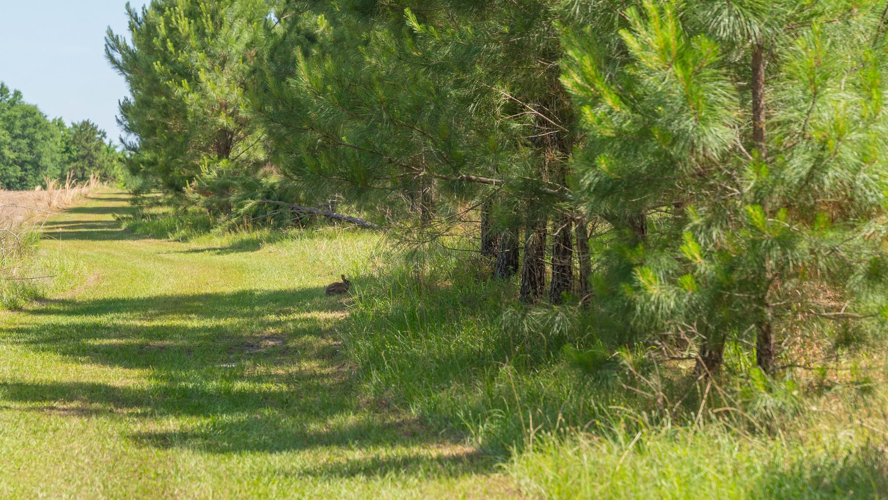 Image for 176+/- Acres - 6,546+/- SF Custom Lodge w/ Stocked Ponds & Food Plots - Mature Timber & Rocky Creek Frontage