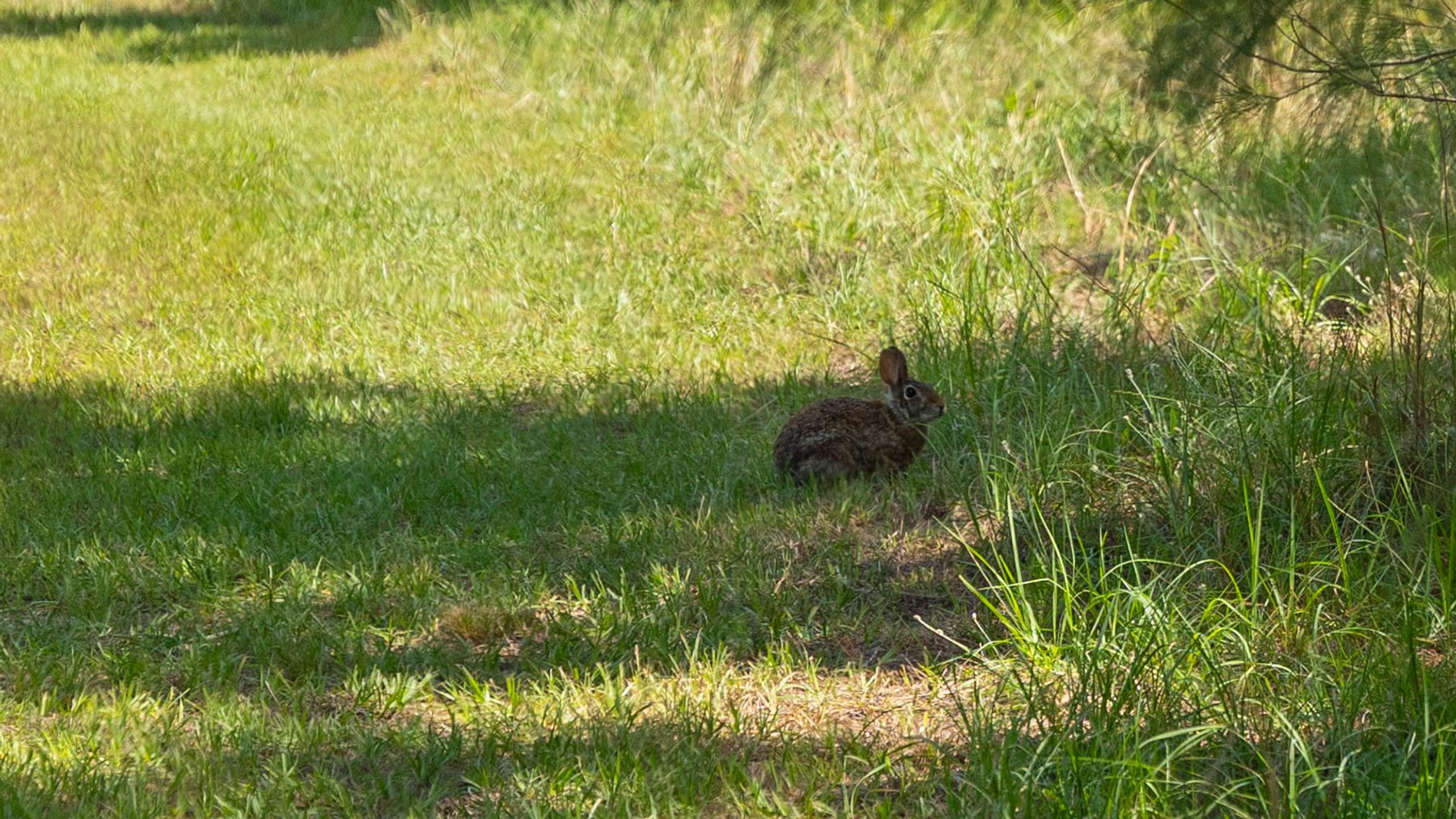 Image for 176+/- Acres - 6,546+/- SF Custom Lodge w/ Stocked Ponds & Food Plots - Mature Timber & Rocky Creek Frontage