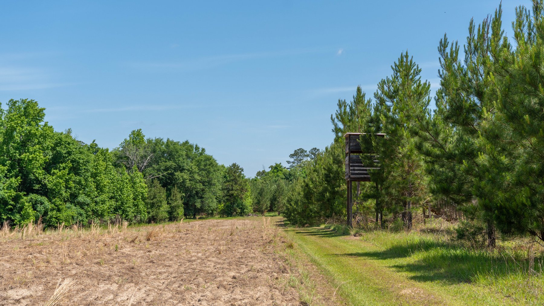 Image for 176+/- Acres - 6,546+/- SF Custom Lodge w/ Stocked Ponds & Food Plots - Mature Timber & Rocky Creek Frontage