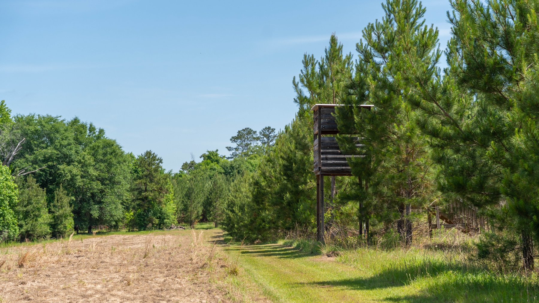 Image for 176+/- Acres - 6,546+/- SF Custom Lodge w/ Stocked Ponds & Food Plots - Mature Timber & Rocky Creek Frontage