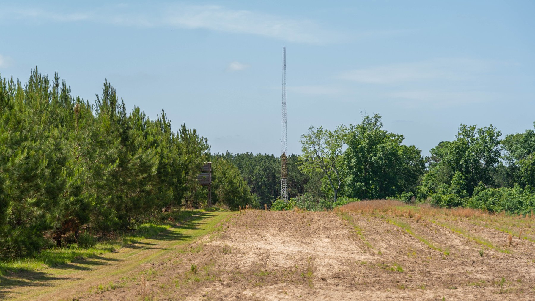 Image for 176+/- Acres - 6,546+/- SF Custom Lodge w/ Stocked Ponds & Food Plots - Mature Timber & Rocky Creek Frontage