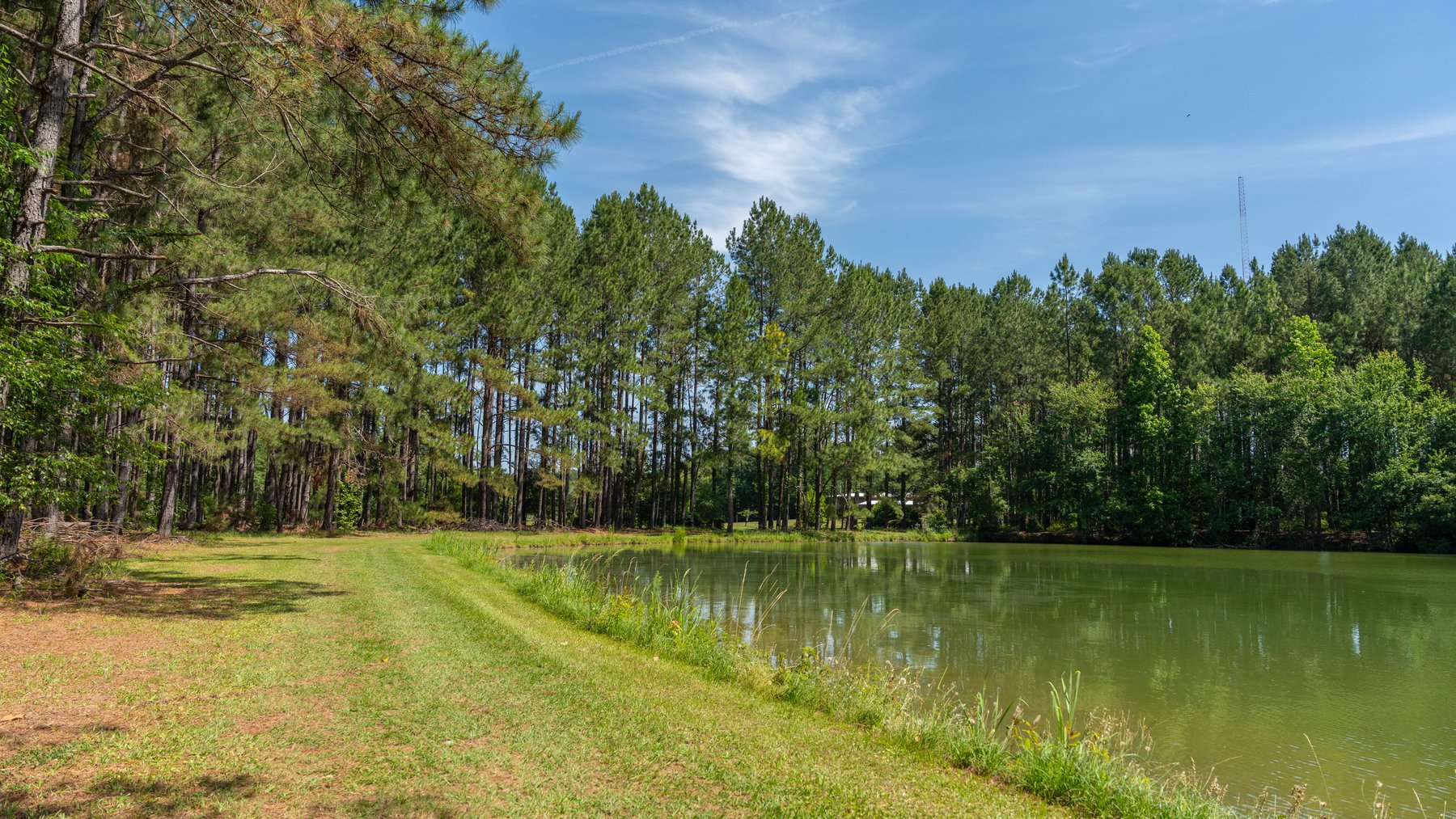 Image for 176+/- Acres - 6,546+/- SF Custom Lodge w/ Stocked Ponds & Food Plots - Mature Timber & Rocky Creek Frontage