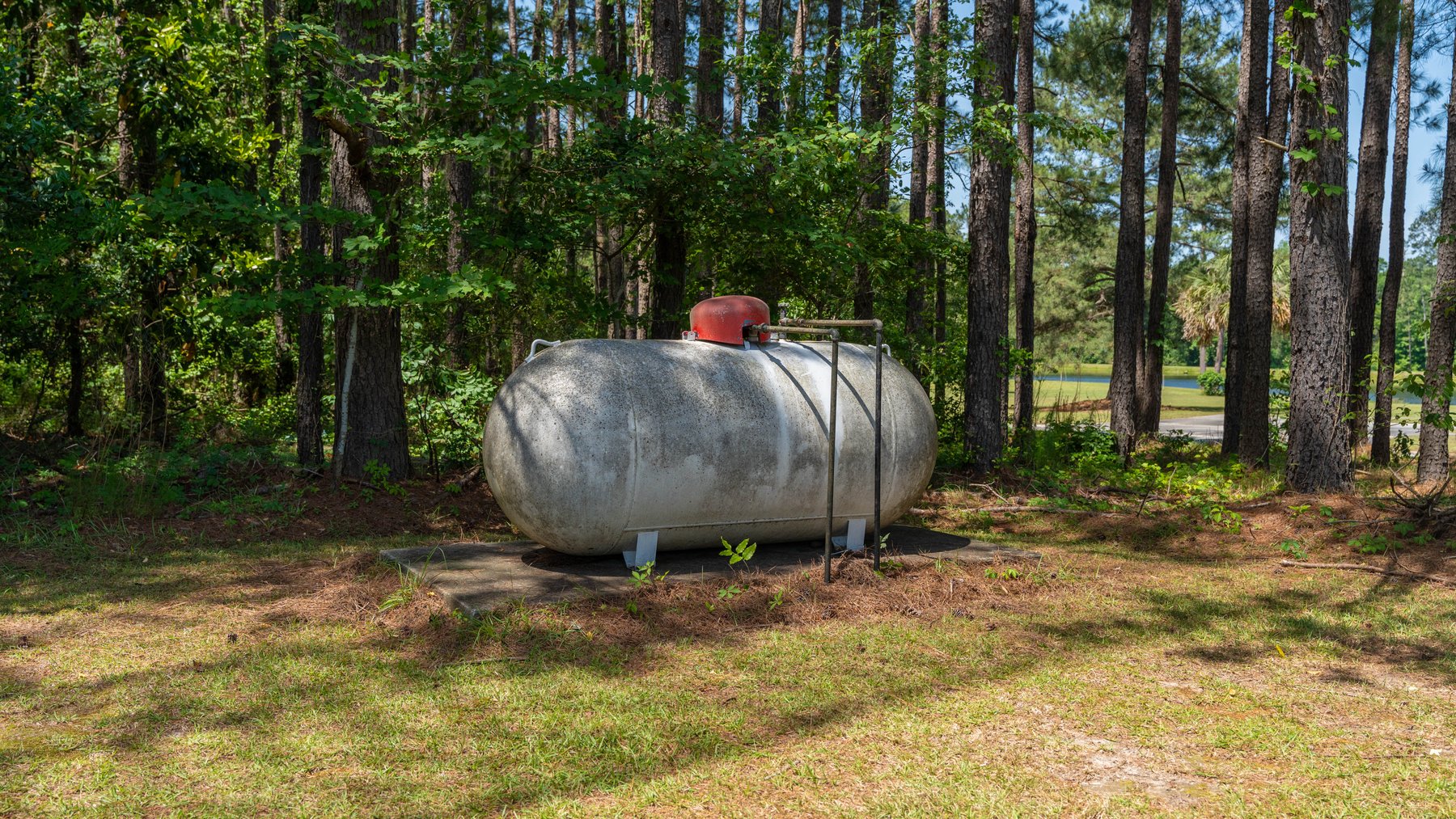 Image for 176+/- Acres - 6,546+/- SF Custom Lodge w/ Stocked Ponds & Food Plots - Mature Timber & Rocky Creek Frontage