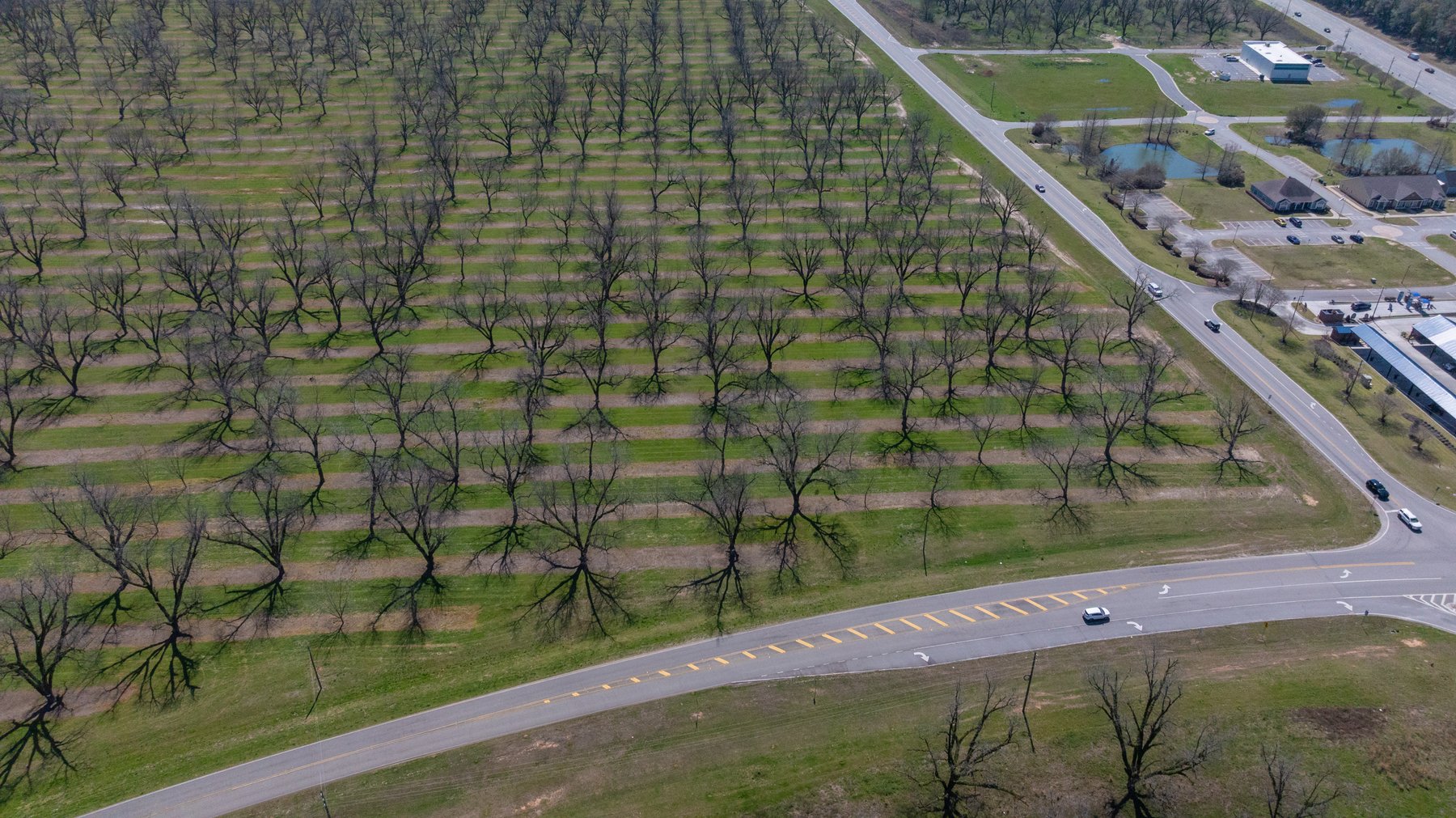 Image for Forrester - 2.28+/- Acres - Flint Ventures Commercial Acreage