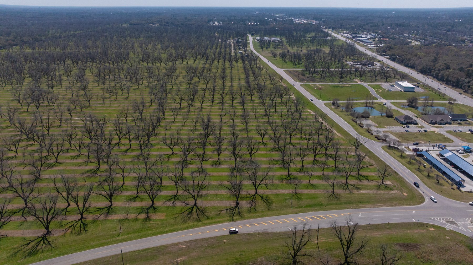 Image for Forrester - 2.28+/- Acres - Flint Ventures Commercial Acreage