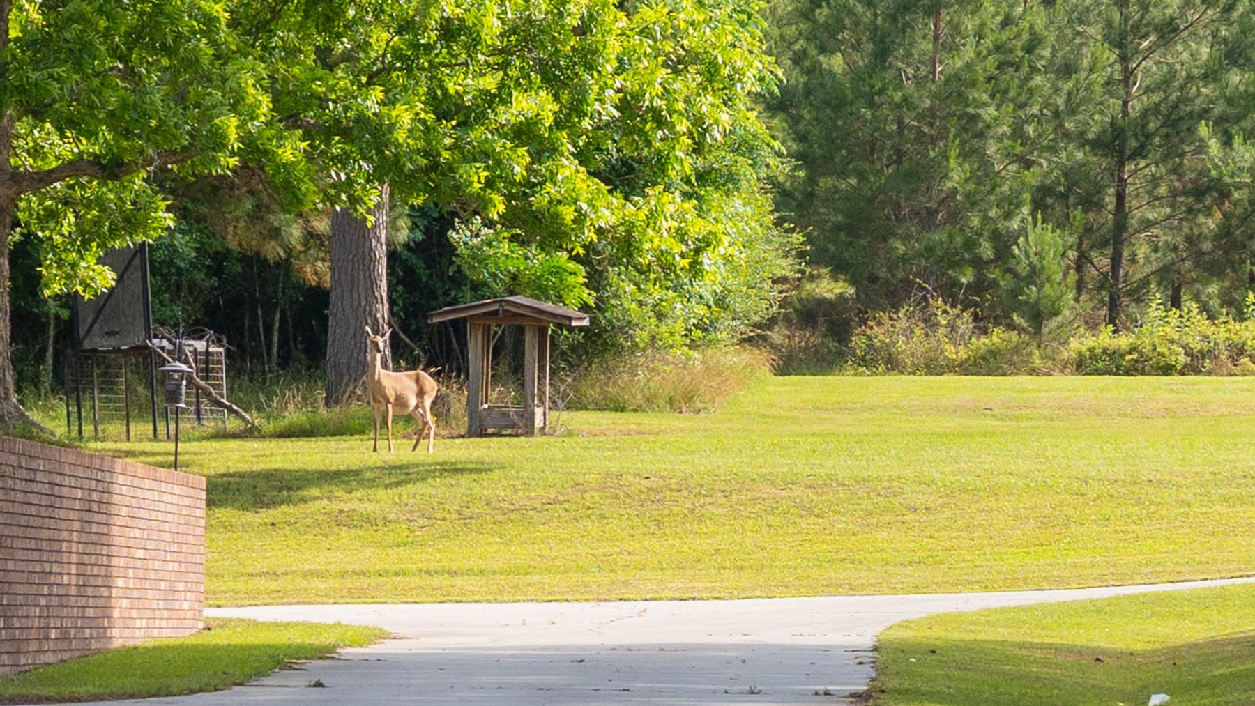 Image for 176+/- Acres - 6,546+/- SF Custom Lodge w/ Stocked Ponds & Food Plots - Mature Timber & Rocky Creek Frontage