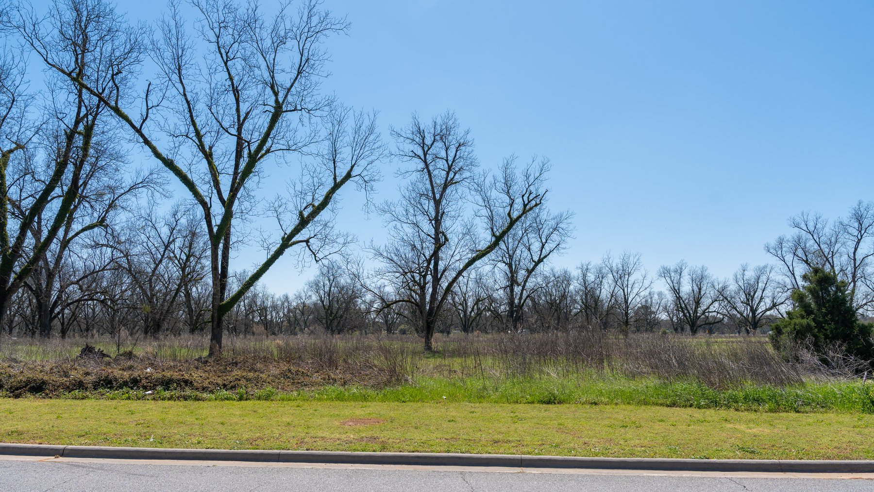 Image for Branchview - 1.72+/- Acres - Flint Ventures Commercial Acreage