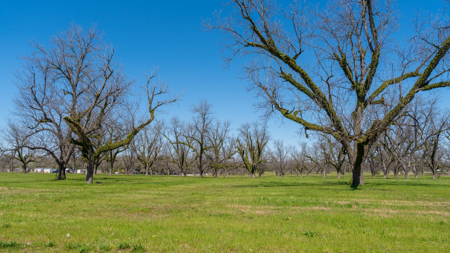 Image for Highway 19 - 4.88+/- Acres - Flint Ventures Commercial Acreage