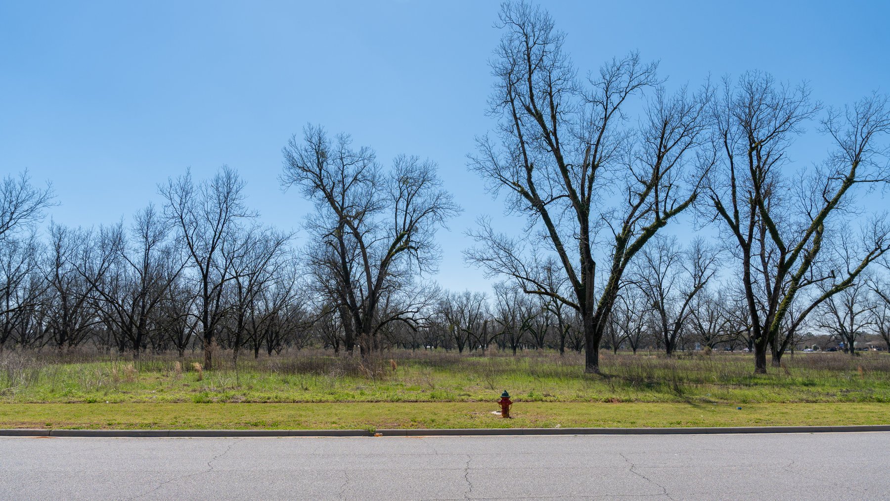 Image for Branchview - 0.96+/- Acres - Flint Ventures Commercial Acreage