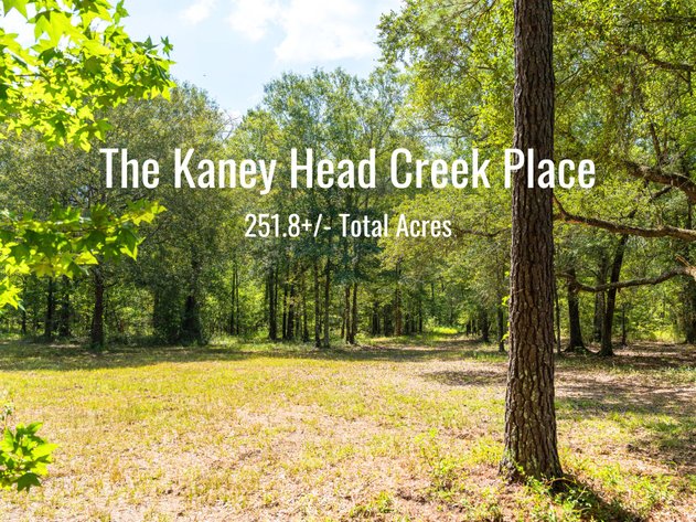 Image for The Kaney Head Creek Place – 251.8 +/- Total Acres - Prime Hunting Tract w/ Mature Hardwoods - Miller County, GA