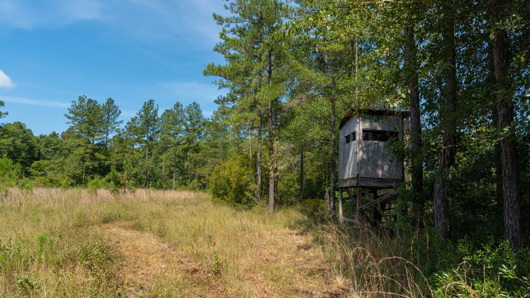 Image for The Kaney Head Creek Place – 251.8 +/- Total Acres - Prime Hunting Tract w/ Mature Hardwoods - Miller County, GA
