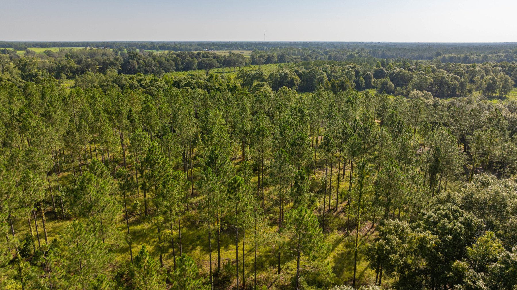 Image for The Kaney Head Creek Place – 251.8 +/- Total Acres - Prime Hunting Tract w/ Mature Hardwoods - Miller County, GA