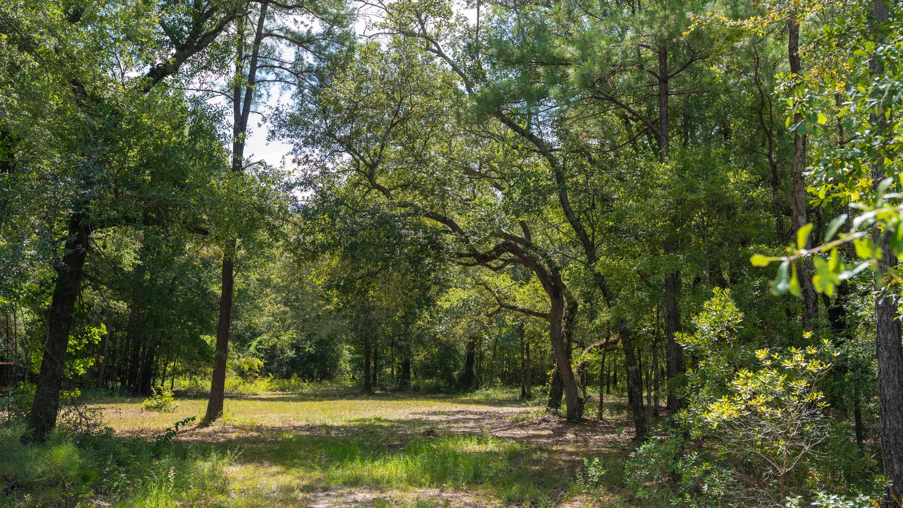 Image for The Kaney Head Creek Place – 251.8 +/- Total Acres - Prime Hunting Tract w/ Mature Hardwoods - Miller County, GA