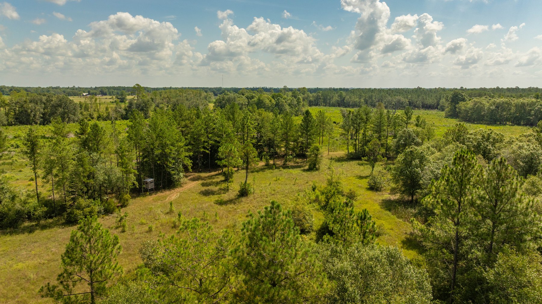 Image for The Kaney Head Creek Place – 251.8 +/- Total Acres - Prime Hunting Tract w/ Mature Hardwoods - Miller County, GA