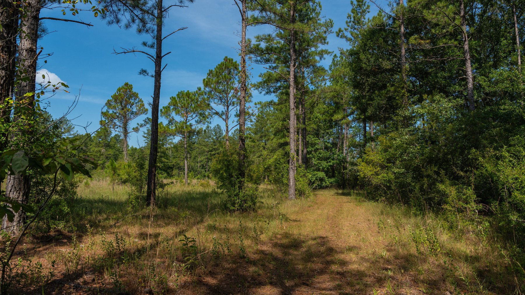 Image for The Kaney Head Creek Place – 251.8 +/- Total Acres - Prime Hunting Tract w/ Mature Hardwoods - Miller County, GA
