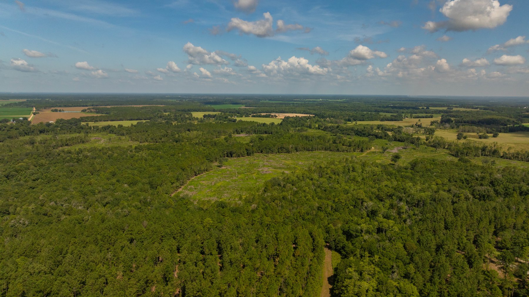 Image for The Kaney Head Creek Place – 251.8 +/- Total Acres - Prime Hunting Tract w/ Mature Hardwoods - Miller County, GA