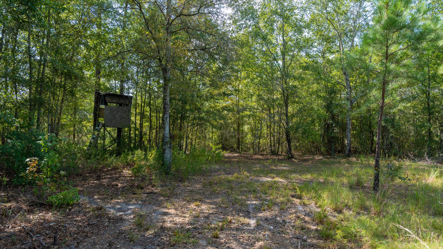 Image for The Kaney Head Creek Place – 251.8 +/- Total Acres - Prime Hunting Tract w/ Mature Hardwoods - Miller County, GA