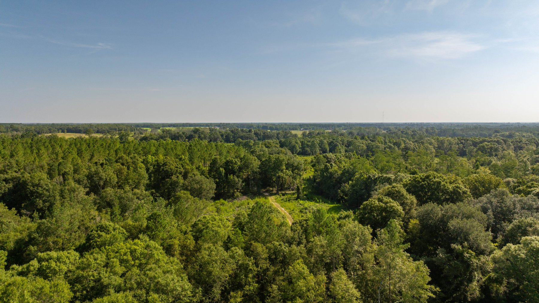 Image for The Kaney Head Creek Place – 251.8 +/- Total Acres - Prime Hunting Tract w/ Mature Hardwoods - Miller County, GA