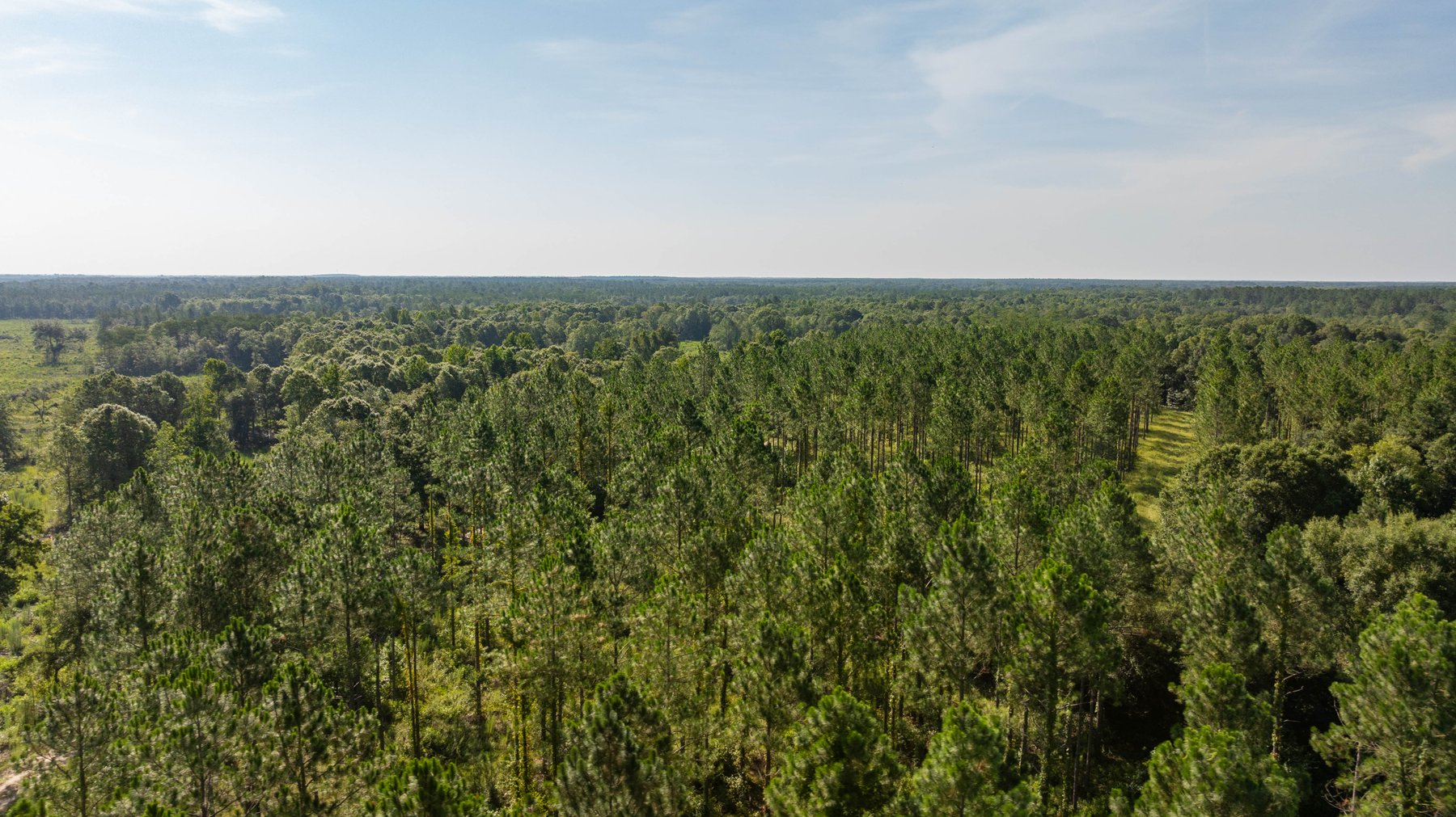 Image for The Kaney Head Creek Place – 251.8 +/- Total Acres - Prime Hunting Tract w/ Mature Hardwoods - Miller County, GA