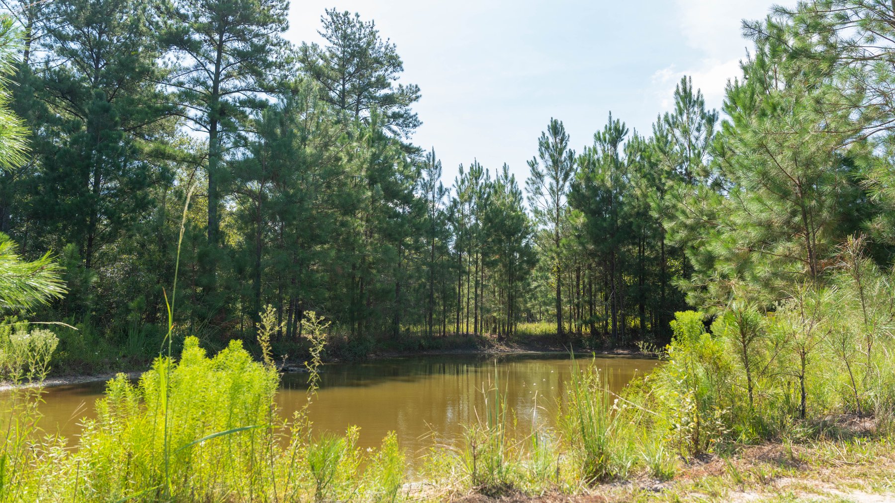 Image for The Kaney Head Creek Place – 251.8 +/- Total Acres - Prime Hunting Tract w/ Mature Hardwoods - Miller County, GA