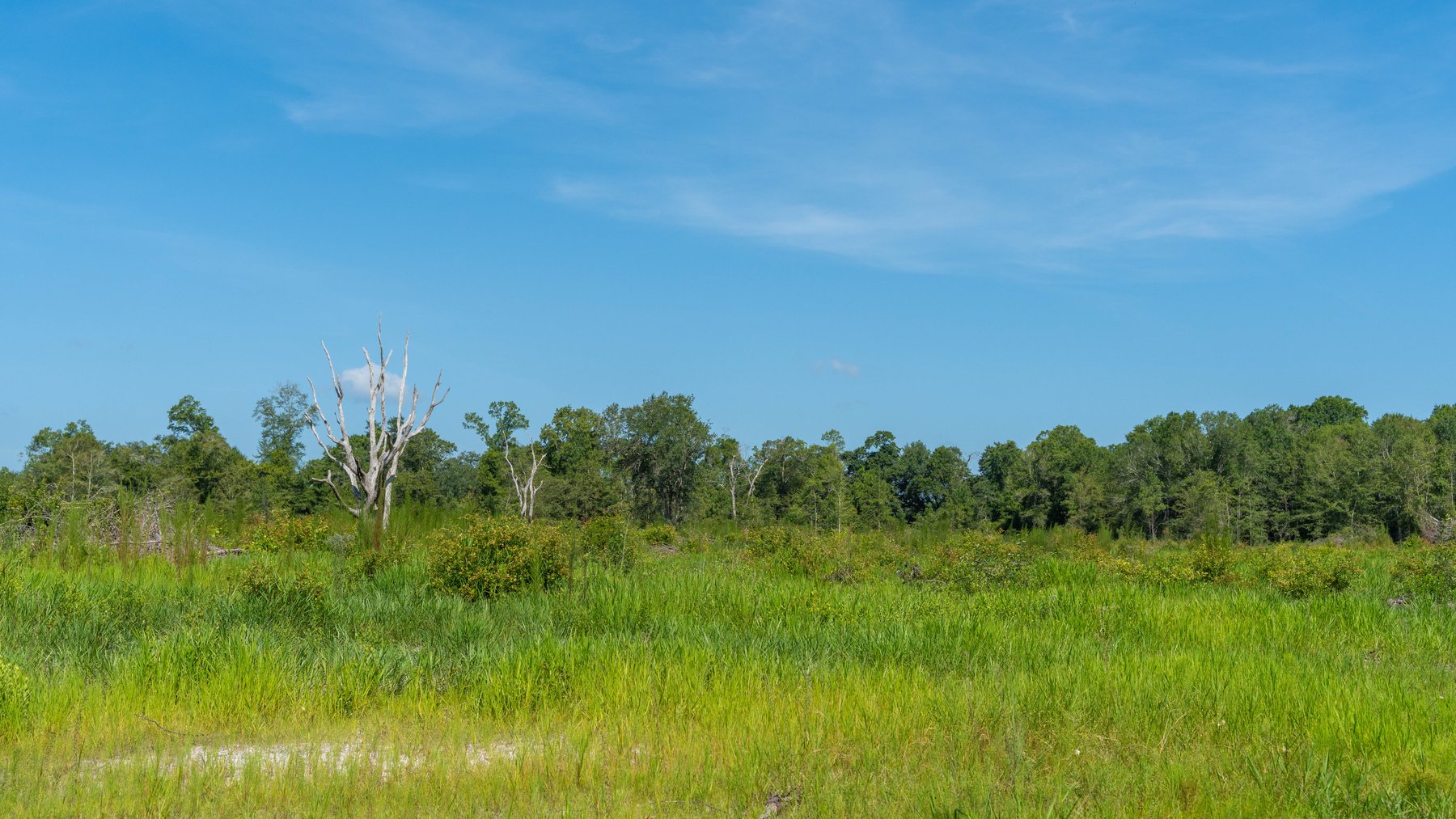 Image for The Kaney Head Creek Place – 251.8 +/- Total Acres - Prime Hunting Tract w/ Mature Hardwoods - Miller County, GA