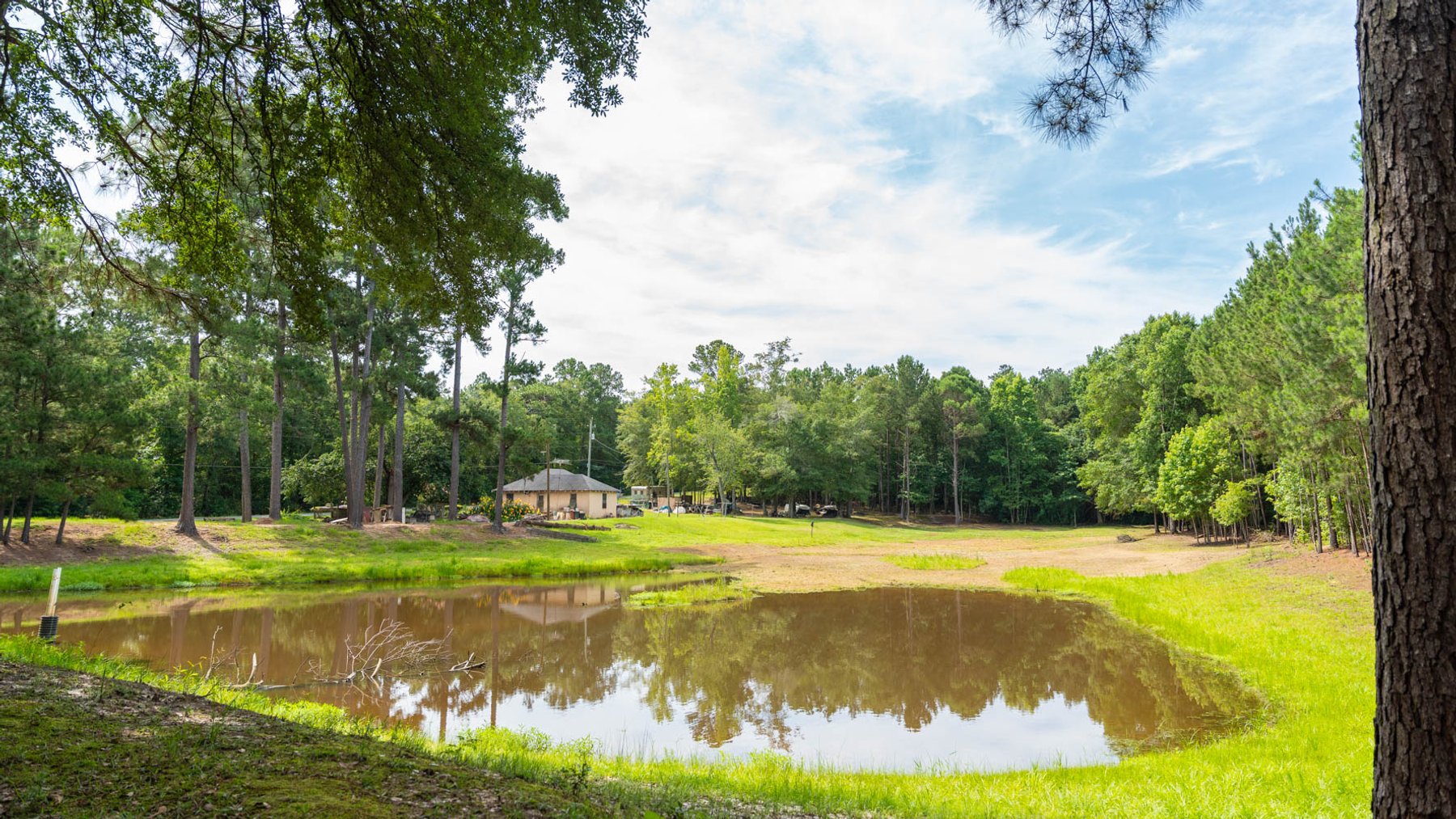 Image for 28.58+/- Total Acres -  Rental Home w/ Mature Timber - Recreational & Investment Opportunity