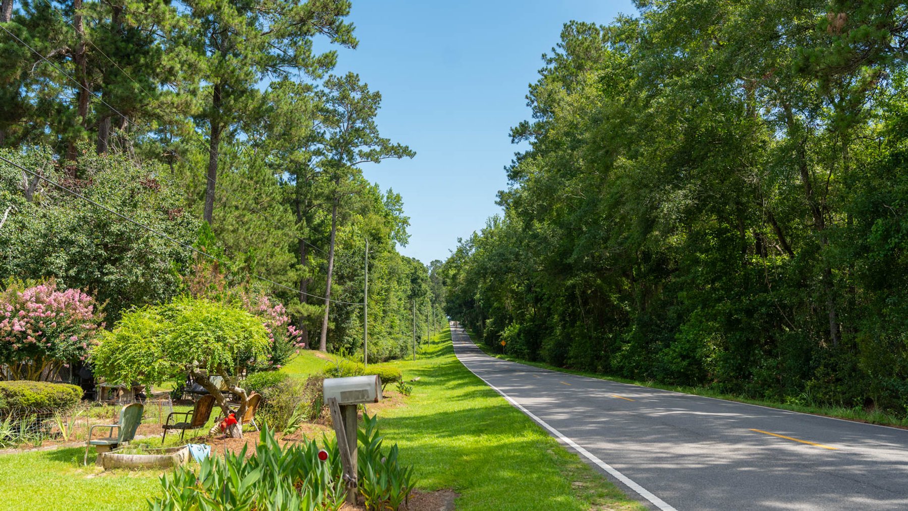 Image for 28.58+/- Total Acres -  Rental Home w/ Mature Timber - Recreational & Investment Opportunity