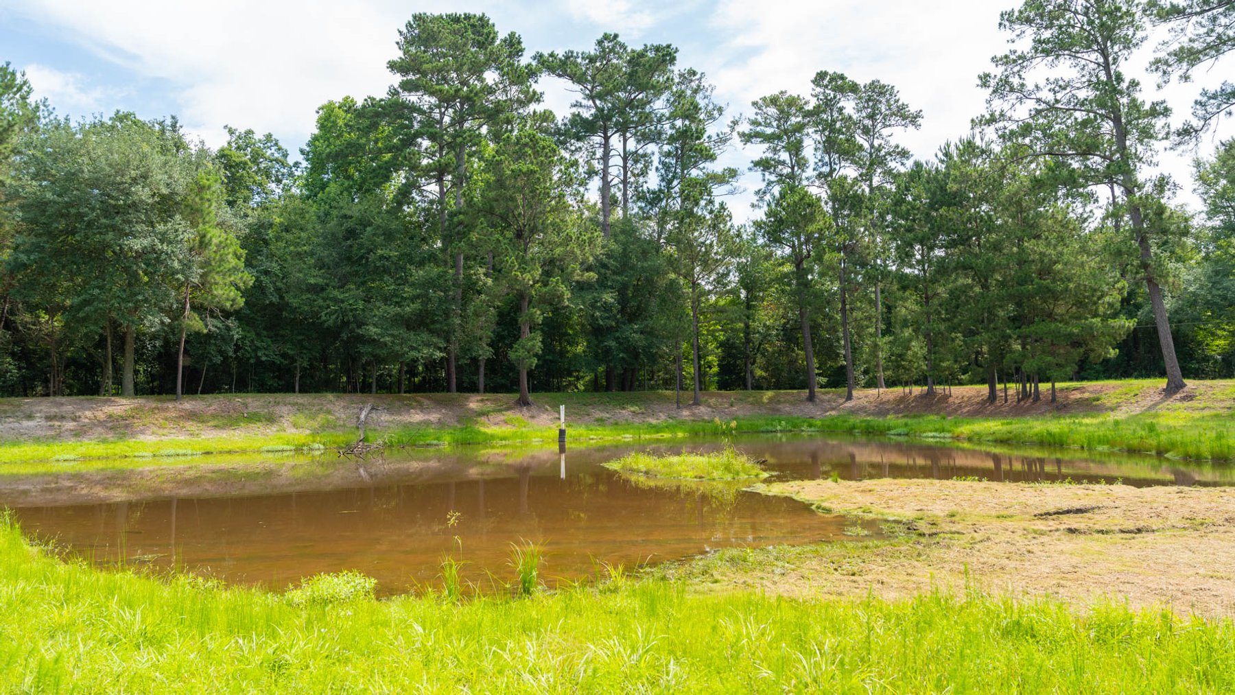 Image for 28.58+/- Total Acres -  Rental Home w/ Mature Timber - Recreational & Investment Opportunity