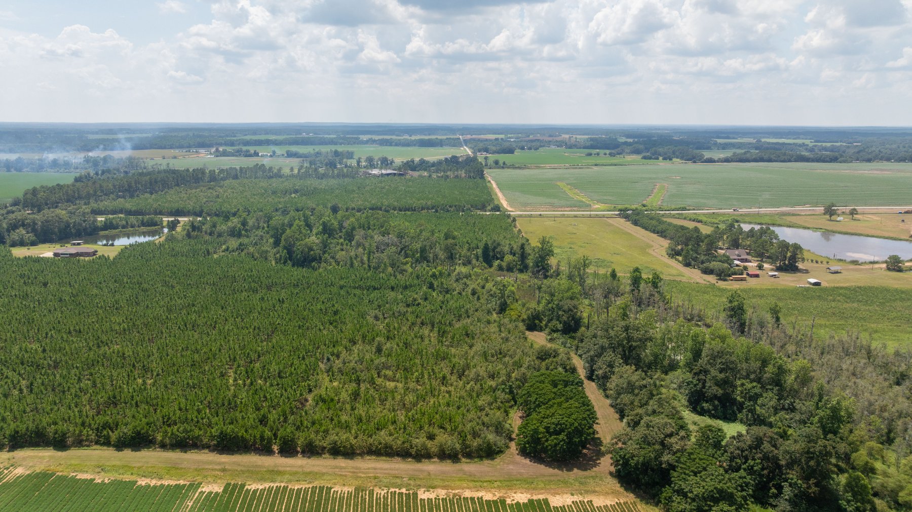 Image for 14+/- Total Acres - Recreational & Homesite Opportunity