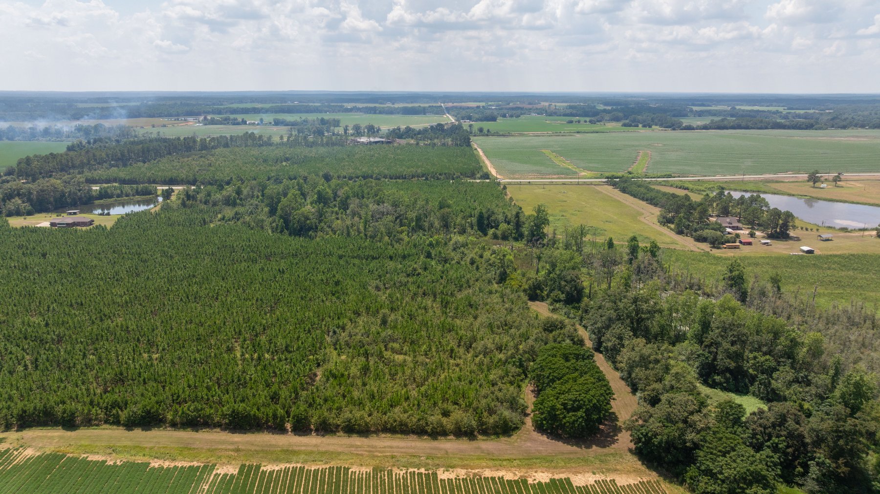 Image for 14+/- Total Acres - Recreational & Homesite Opportunity