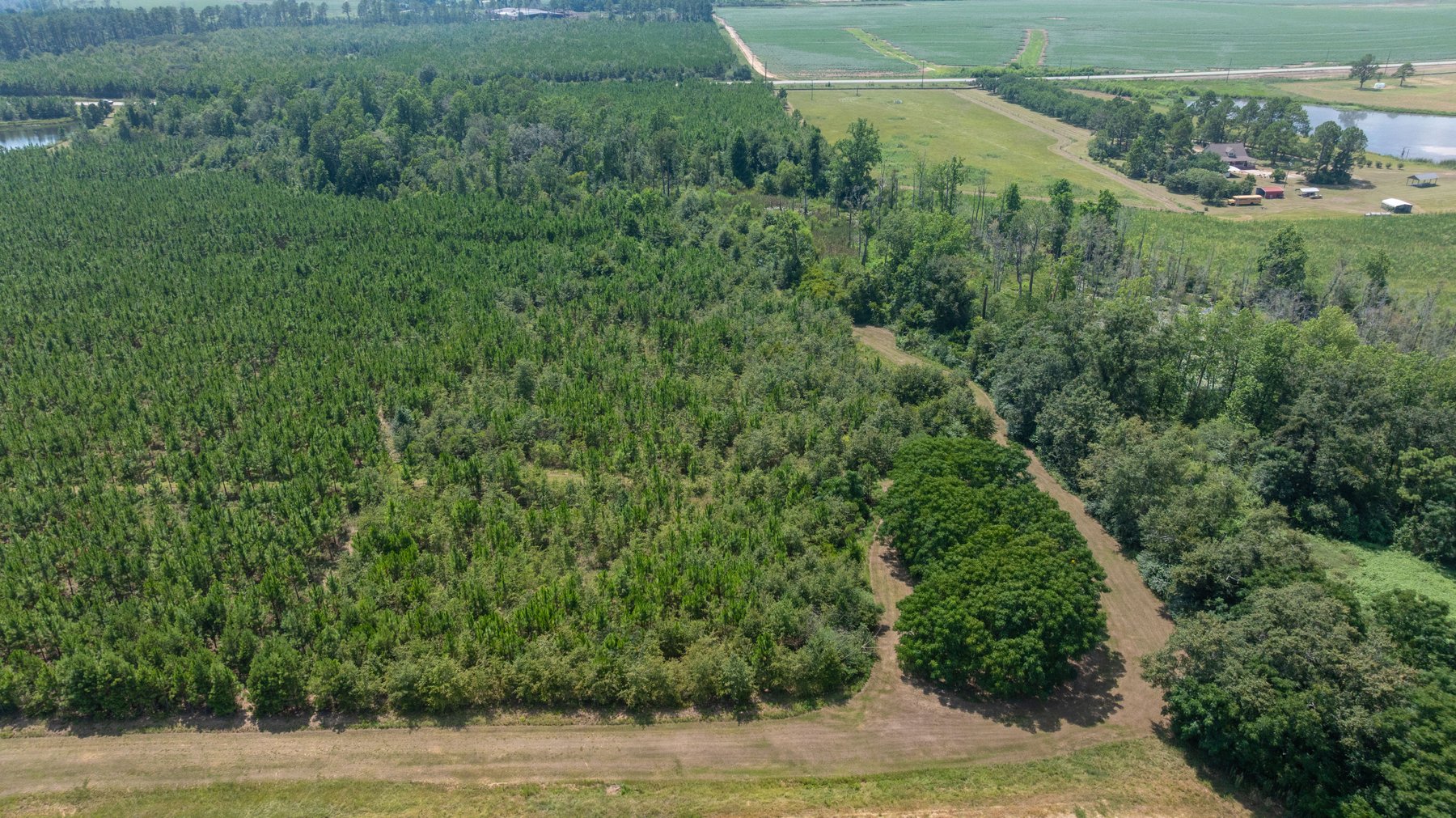 Image for 14+/- Total Acres - Recreational & Homesite Opportunity