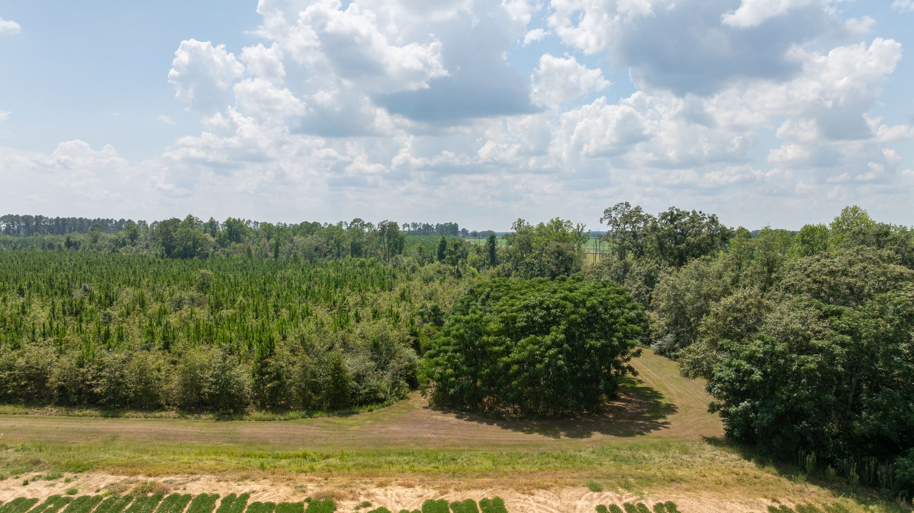 Image for 14+/- Total Acres - Recreational & Homesite Opportunity