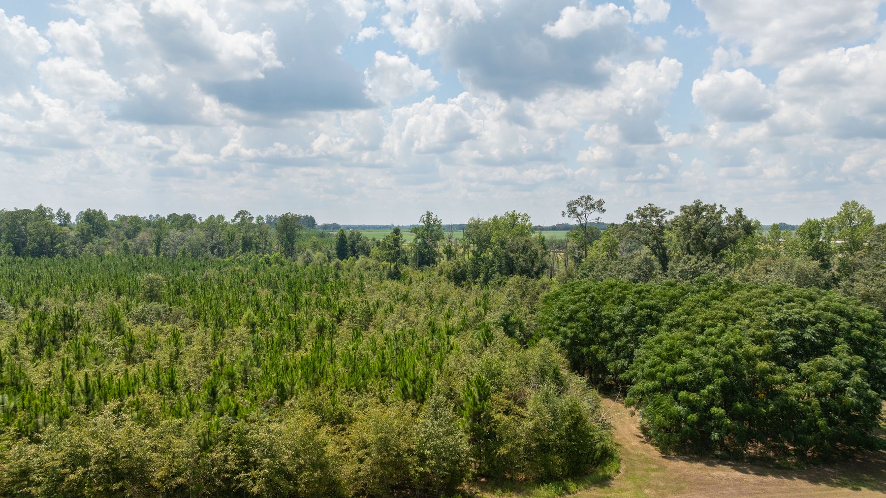 Image for 14+/- Total Acres - Recreational & Homesite Opportunity