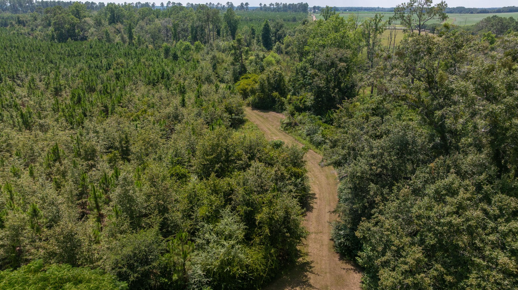Image for 14+/- Total Acres - Recreational & Homesite Opportunity