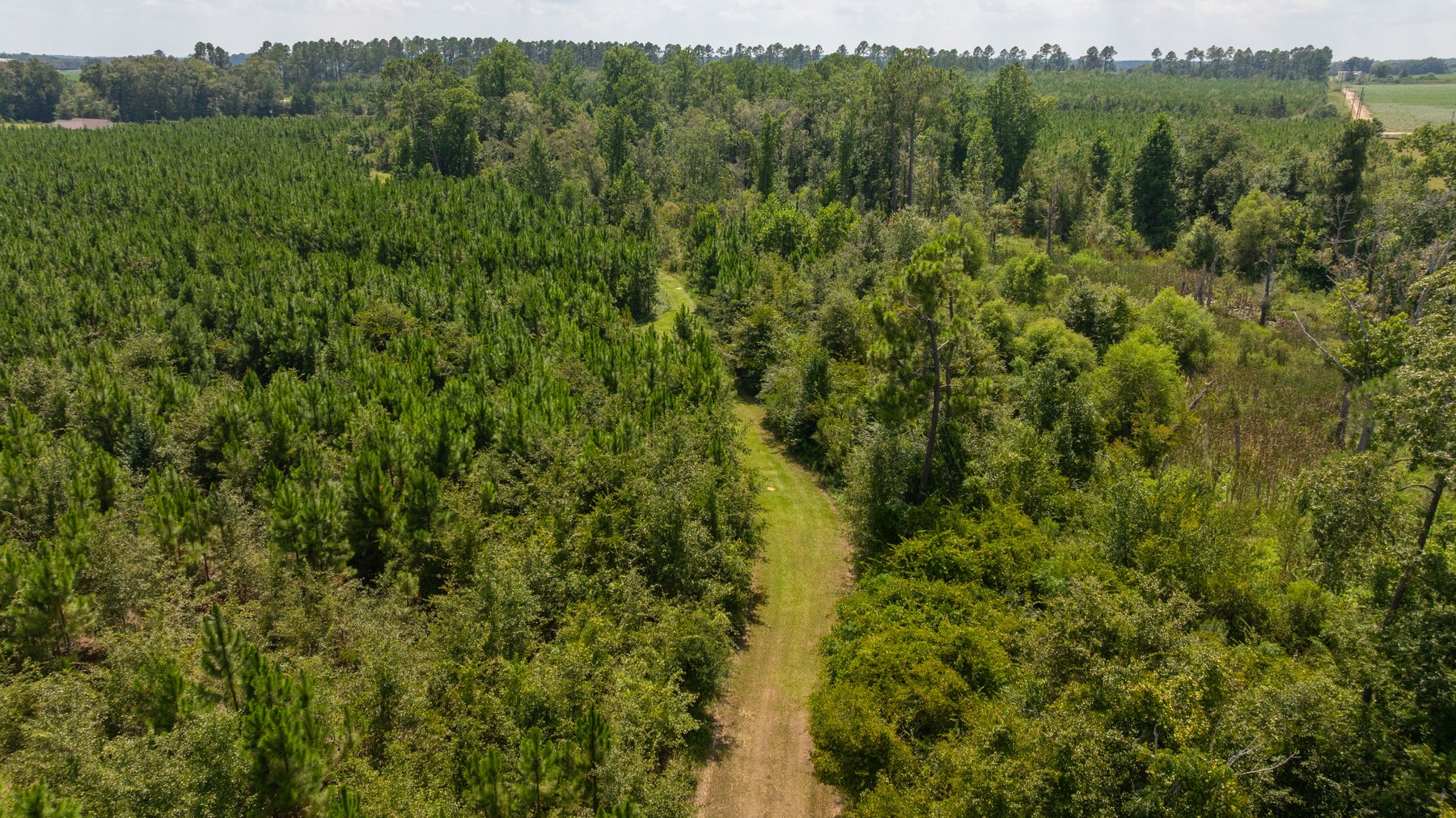 Image for 14+/- Total Acres - Recreational & Homesite Opportunity